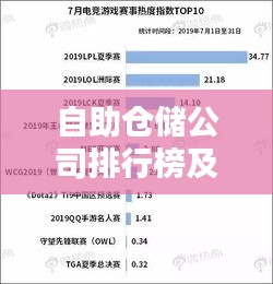 自助仓储公司排行榜及行业影响力分析
