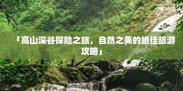 杳无音信