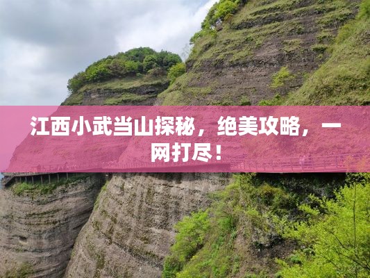 秀外慧中