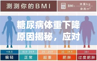 糖尿病体重下降原因揭秘，应对策略助你恢复健康体态