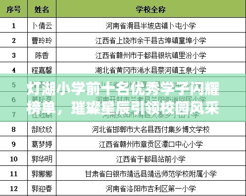 灯湖小学前十名优秀学子闪耀榜单，璀璨星辰引领校园风采
