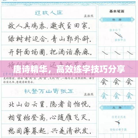 唐诗精华，高效练字技巧分享