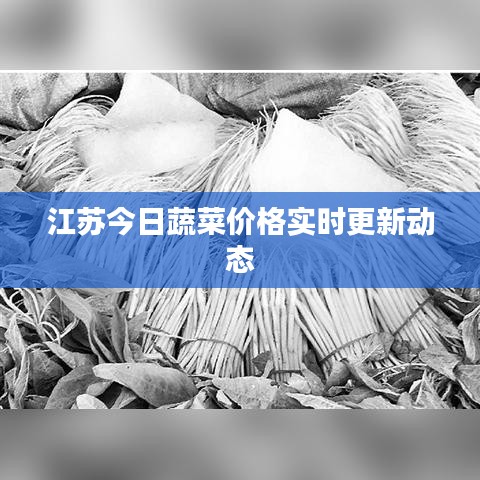 江苏今日蔬菜价格实时更新动态