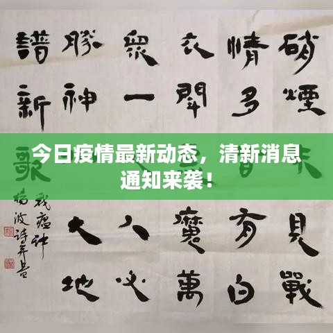 今日疫情最新动态，清新消息通知来袭！
