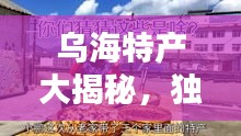 乌海特产大揭秘，独特风味，百度带你领略地域魅力！