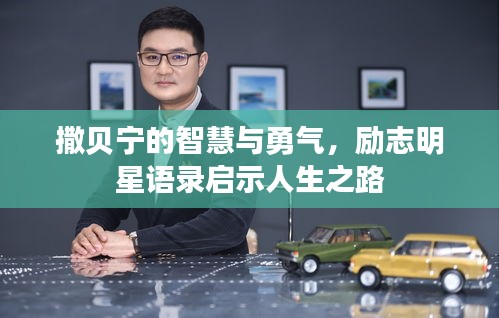 撒贝宁的智慧与勇气，励志明星语录启示人生之路