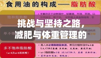 挑战与坚持之路，减肥与体重管理的博弈之路