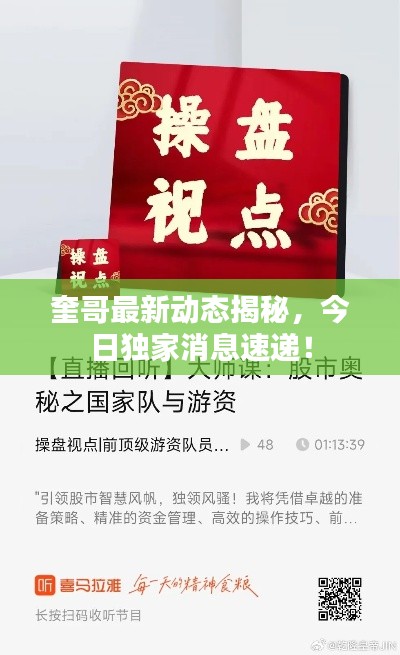 奎哥最新动态揭秘，今日独家消息速递！