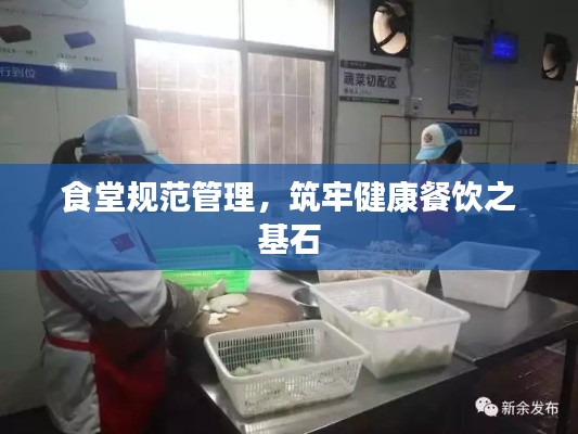 食堂规范管理，筑牢健康餐饮之基石