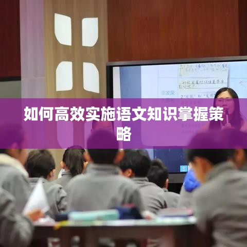 如何高效实施语文知识掌握策略