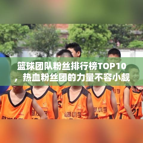 篮球团队粉丝排行榜TOP10，热血粉丝团的力量不容小觑