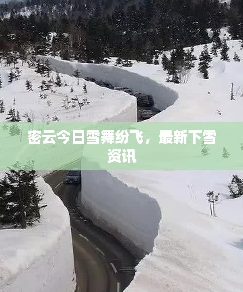 密云今日雪舞纷飞，最新下雪资讯