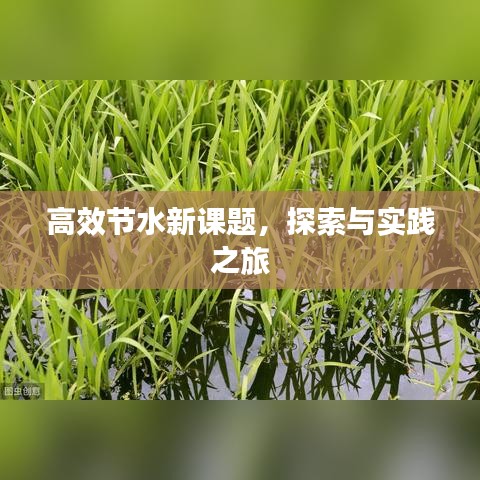 高效节水新课题，探索与实践之旅
