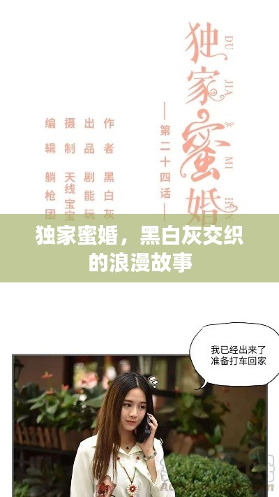 独家蜜婚，黑白灰交织的浪漫故事