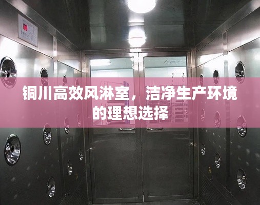 铜川高效风淋室，洁净生产环境的理想选择
