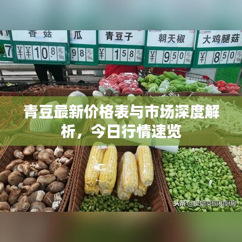 青豆最新价格表与市场深度解析，今日行情速览