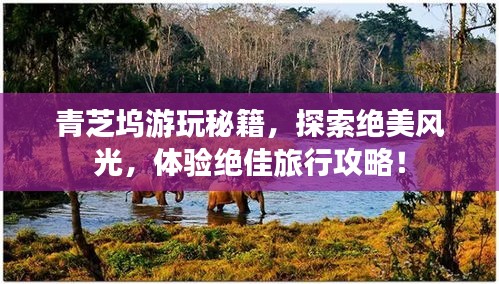 青芝坞游玩秘籍，探索绝美风光，体验绝佳旅行攻略！