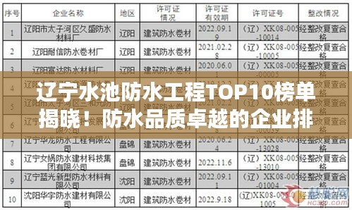 辽宁水池防水工程TOP10榜单揭晓！防水品质卓越的企业排名