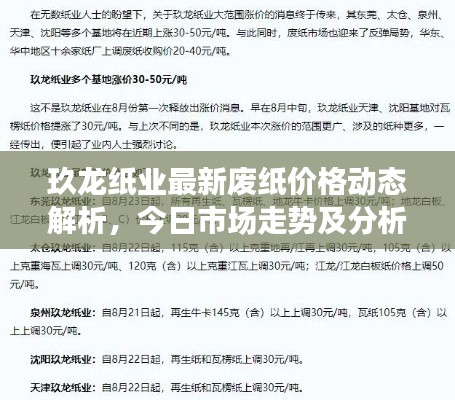 玖龙纸业最新废纸价格动态解析，今日市场走势及分析