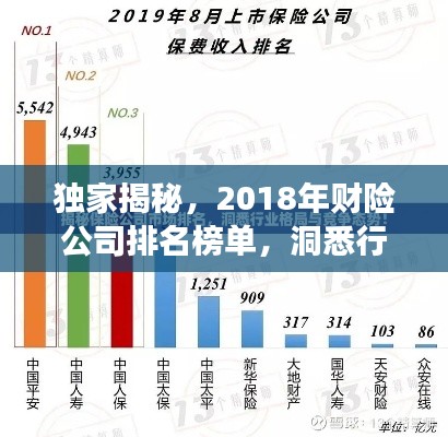 独家揭秘，2018年财险公司排名榜单，洞悉行业格局与发展趋势