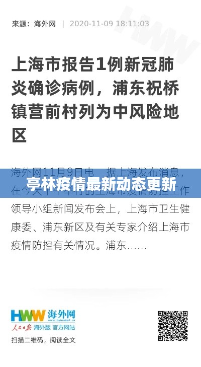 亭林疫情最新动态更新