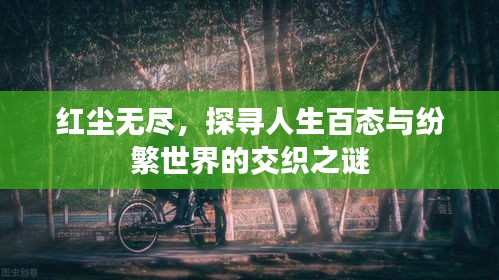 红尘无尽，探寻人生百态与纷繁世界的交织之谜