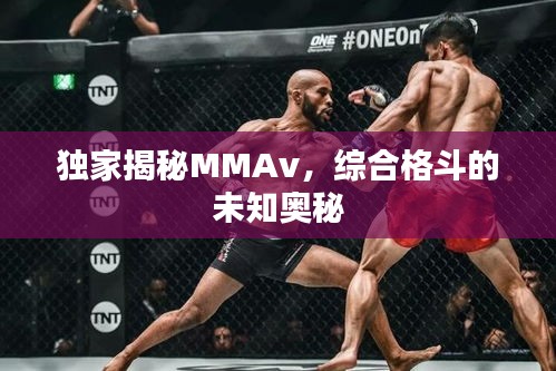 独家揭秘MMAv，综合格斗的未知奥秘