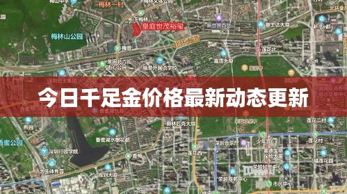 今日千足金价格最新动态更新