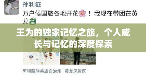 王为的独家记忆之旅，个人成长与记忆的深度探索