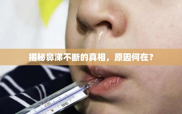 揭秘鼻涕不断的真相，原因何在？