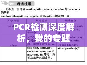回眸最初