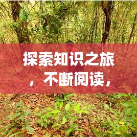 五角六张