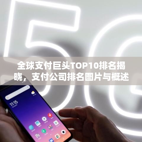 全球支付巨头TOP10排名揭晓，支付公司排名图片与概述揭秘
