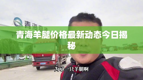 青海羊腿价格最新动态今日揭秘
