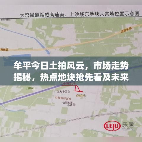 牟平今日土拍风云，市场走势揭秘，热点地块抢先看及未来展望