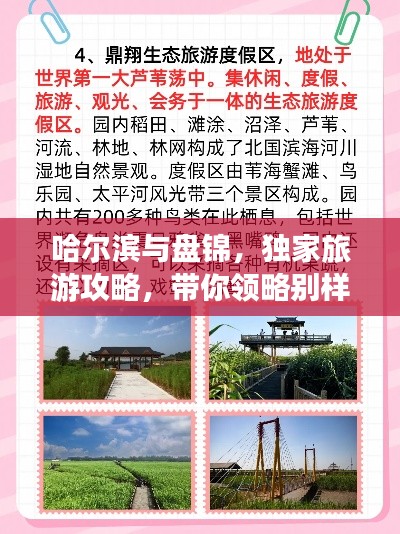 哈尔滨与盘锦，独家旅游攻略，带你领略别样风情