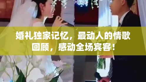 婚礼独家记忆，最动人的情歌回顾，感动全场宾客！