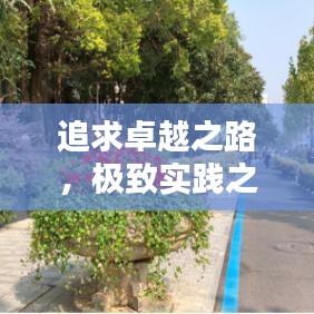 追求卓越之路，极致实践之道