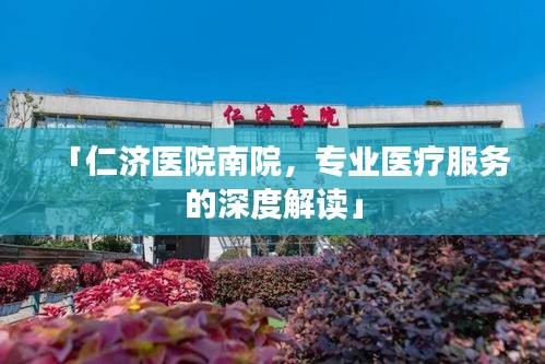 「仁济医院南院，专业医疗服务的深度解读」