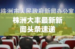 株洲大丰最新新闻头条速递