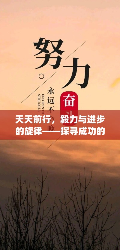 天天前行，毅力与进步的旋律——探寻成功的节奏