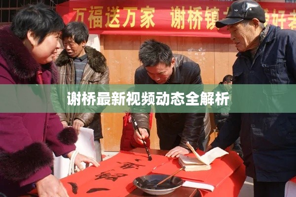 谢桥最新视频动态全解析
