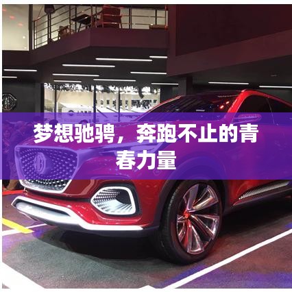 还醇返朴