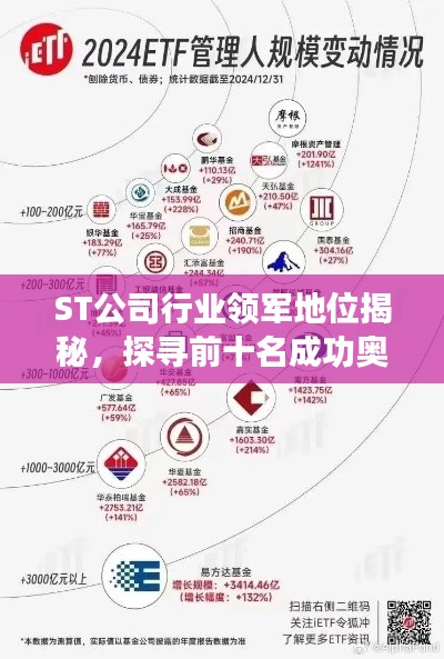 ST公司行业领军地位揭秘，探寻前十名成功奥秘