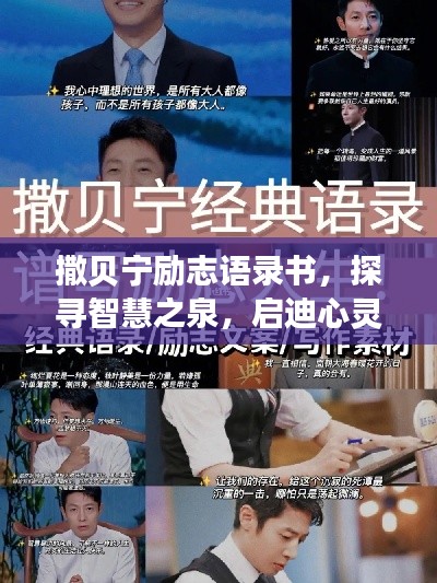 撒贝宁励志语录书，探寻智慧之泉，启迪心灵之路