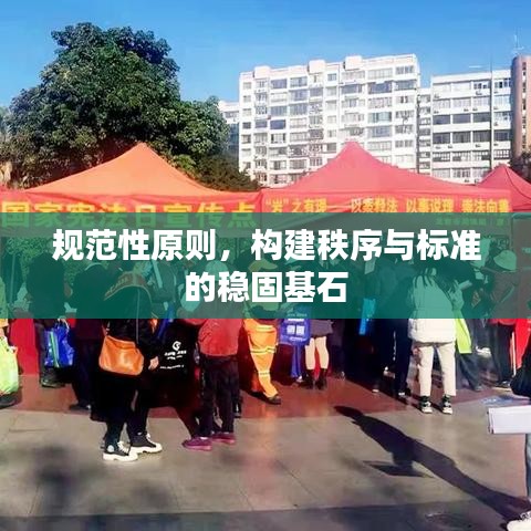规范性原则，构建秩序与标准的稳固基石