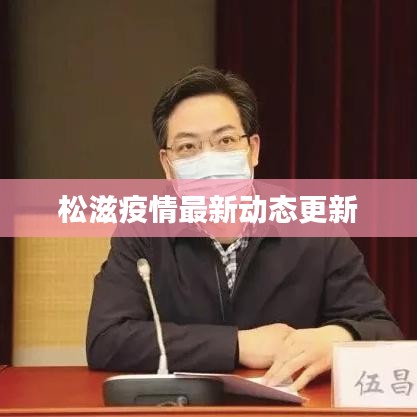 松滋疫情最新动态更新
