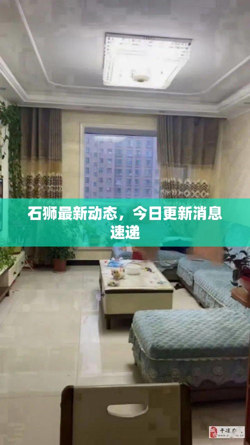 石狮最新动态，今日更新消息速递