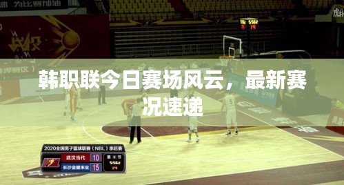 鸟惊鱼骇