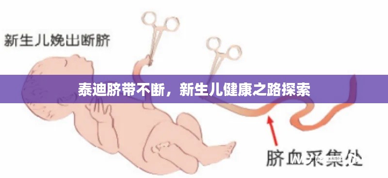 泰迪脐带不断，新生儿健康之路探索